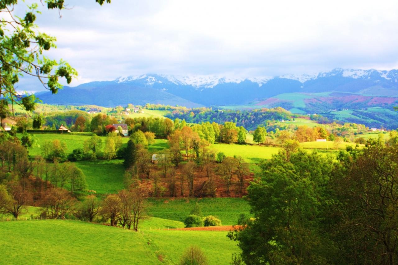 Campagne