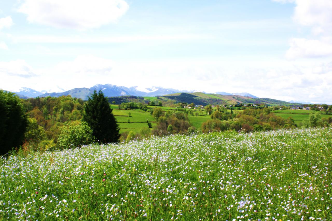 Le printemps est féérique partout