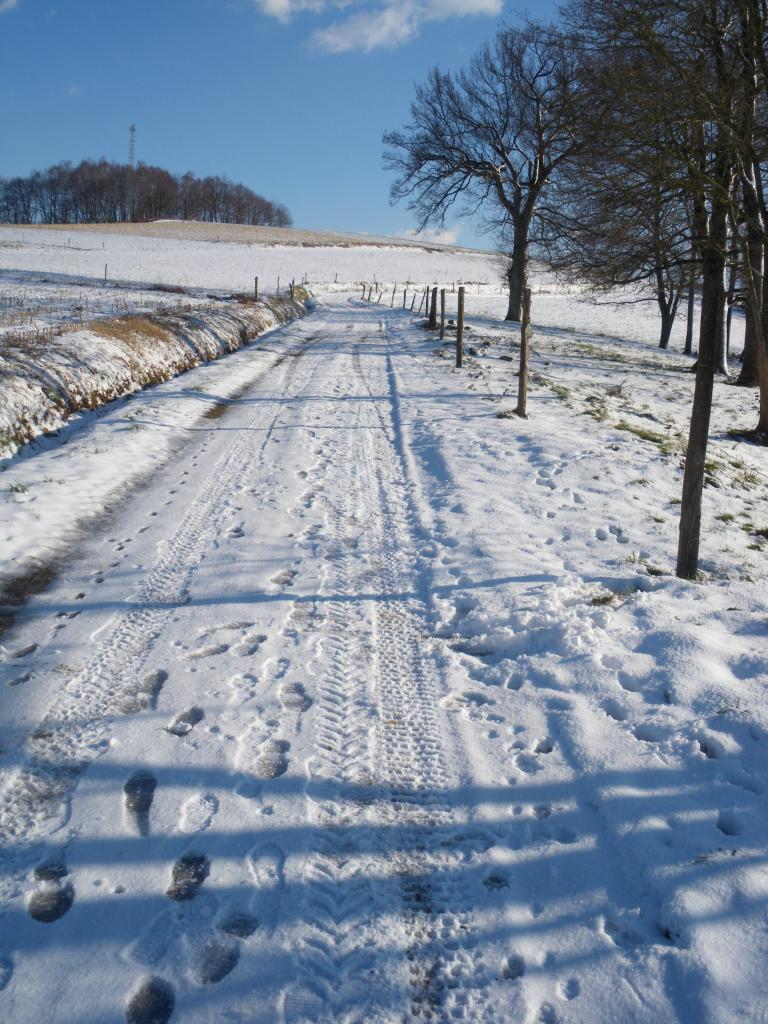 Vive la neige !