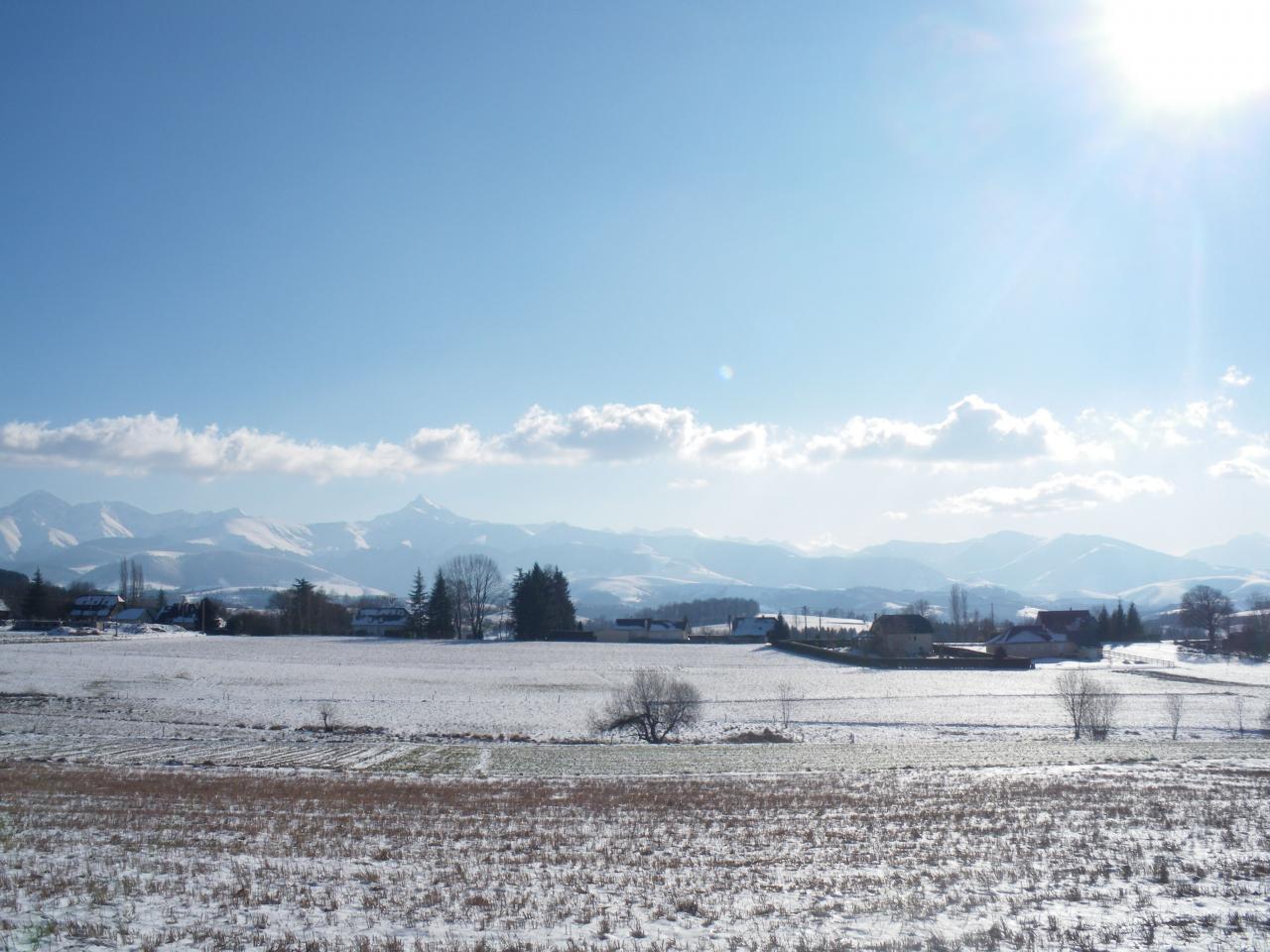 Sous la neige...